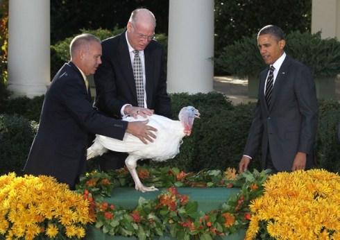 President Obama Pardons Thanksgiving Turkey At White House