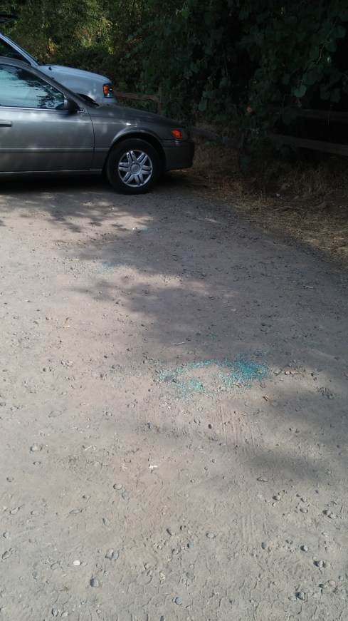 From the piles of glass, it looked like at least four cars had been violated.