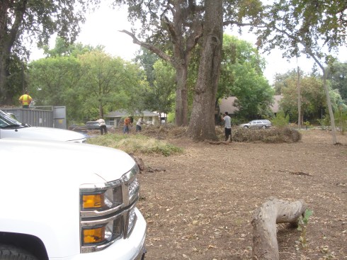 Here's our crew - "home-release" inmates from Butte County jail. 