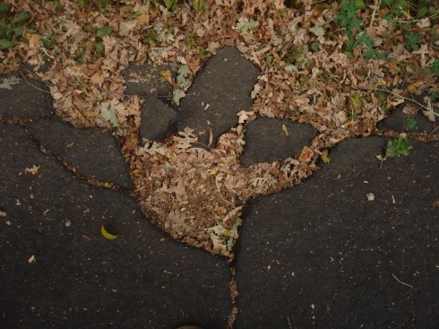Broken pavement is dangerous for bikes and pedestrians, a real liability for the city of Chico.