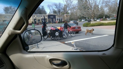 At the intersection of Mangrove and Vallombrosa
