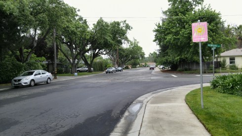 I wonder what the purple signs cost.