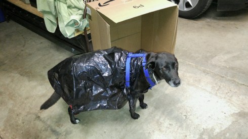 She was not thrilled about the raincoat.