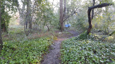 thumbnail_0124170817a_resized