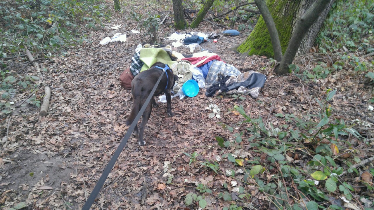 thumbnail_0127180746