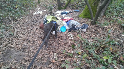 thumbnail_0127180746